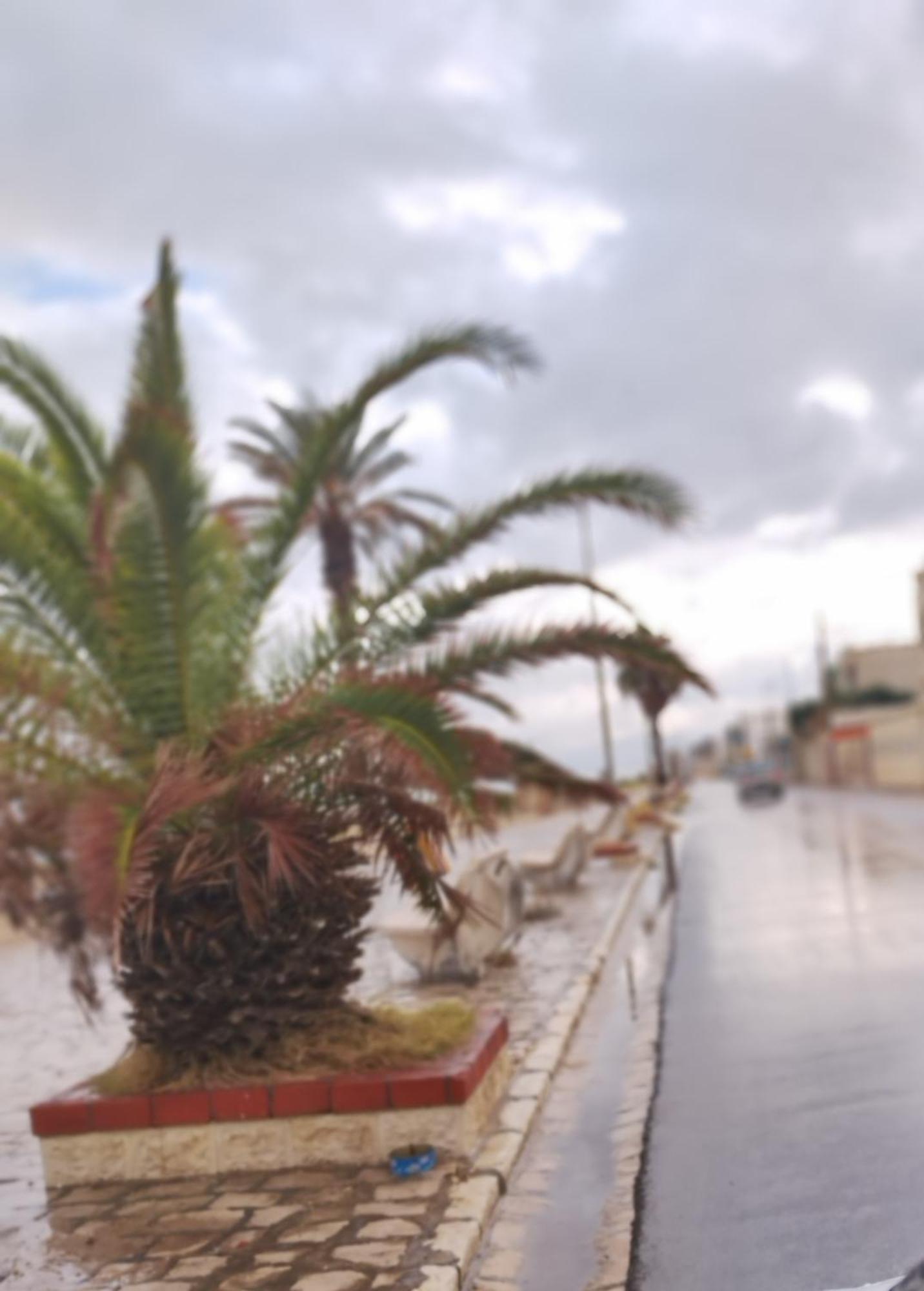 Appartement Hammam-Lif Les Cyclamens Tunisie Afrique Екстериор снимка